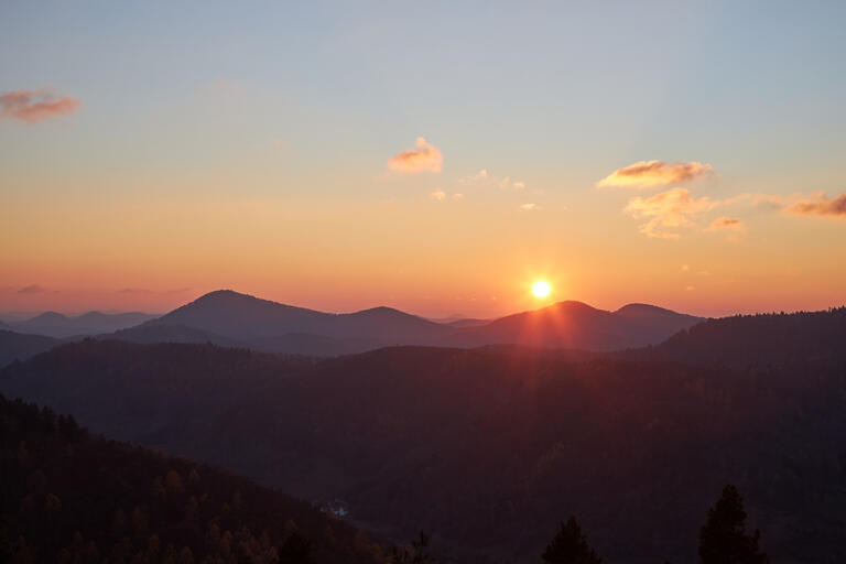 Sonnenuntergang im Pfälzer Wald IV