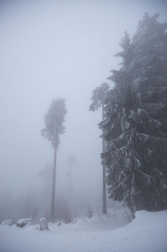 Winterwanderung im Nordschwarzwald III