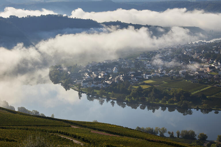 Nebel über Piesport II