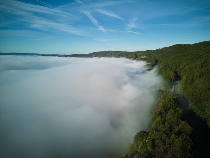 Moseltal im Nebel bei Piesport