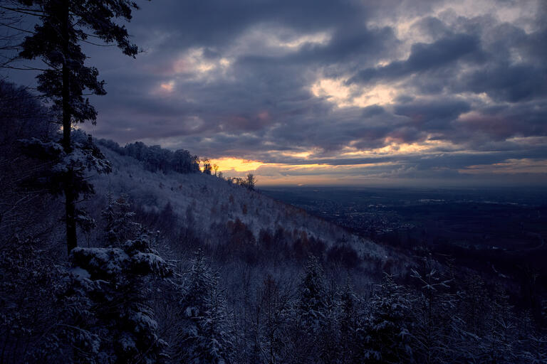 Winter im Schwarzwald III